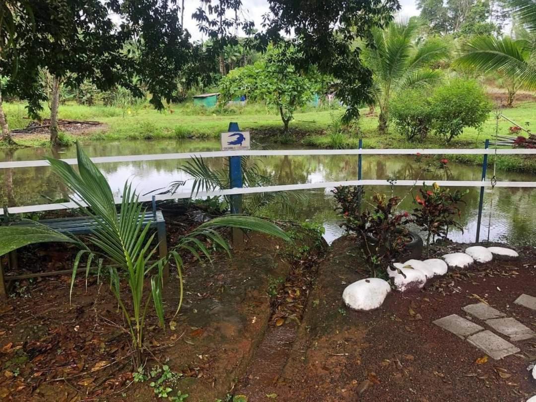 Hotel Maguey Tigre  Luaran gambar